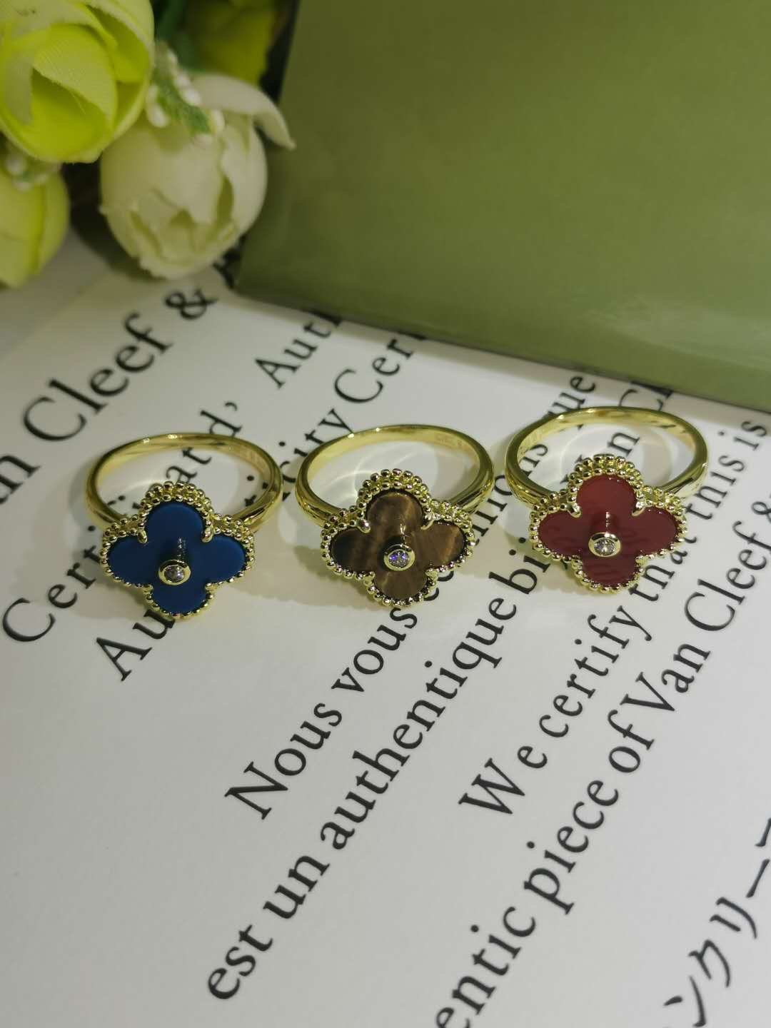 微信图片_2025-06-27_030131_253