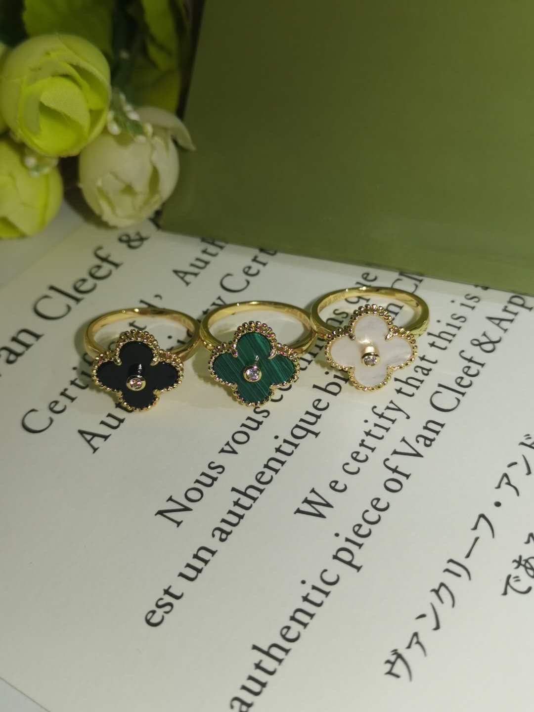 微信图片_2025-06-27_030137_430