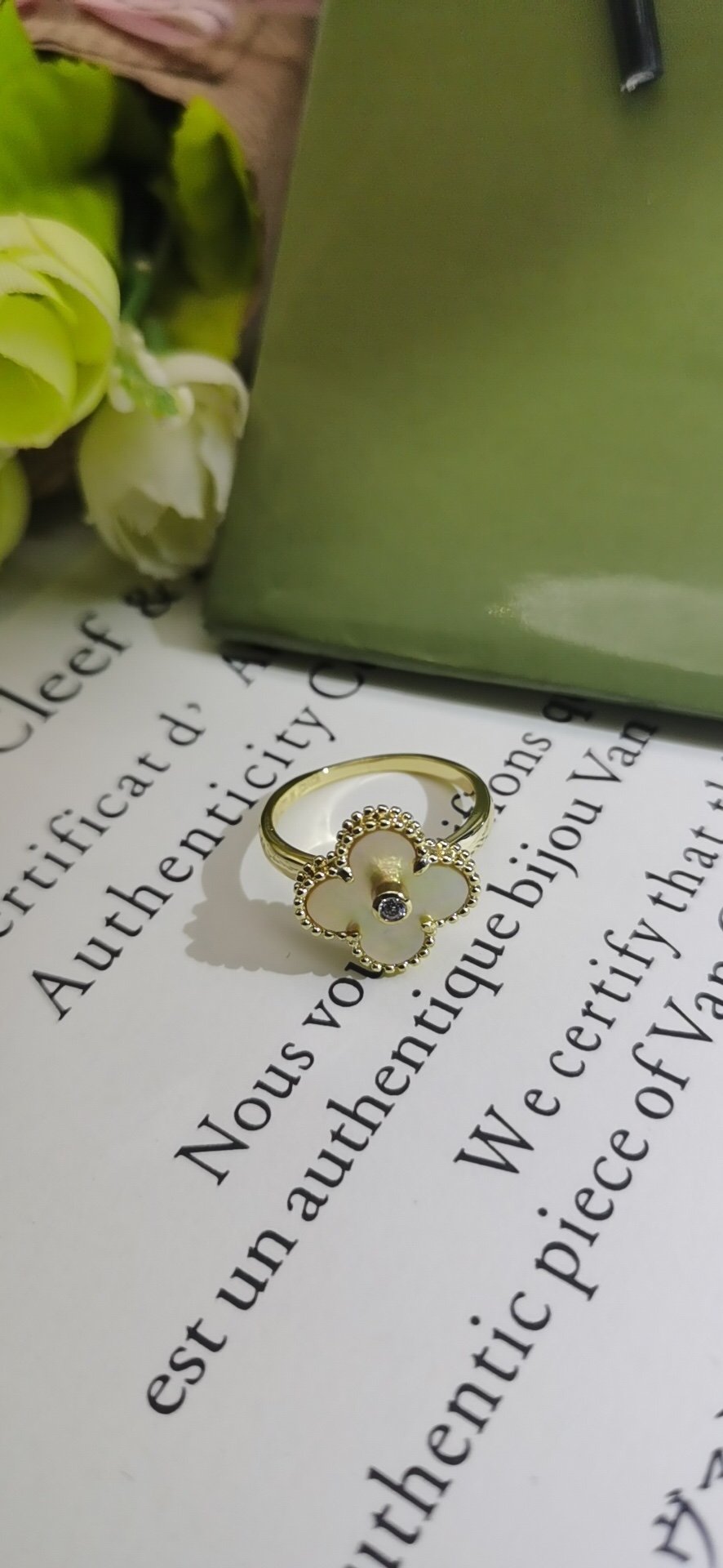 微信图片_2025-06-27_030151_935